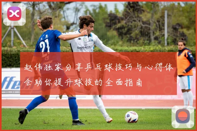 赵伟独家分享乒乓球技巧与心得体会助你提升球技的全面指南