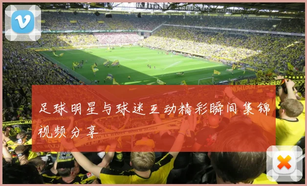 足球明星与球迷互动精彩瞬间集锦视频分享