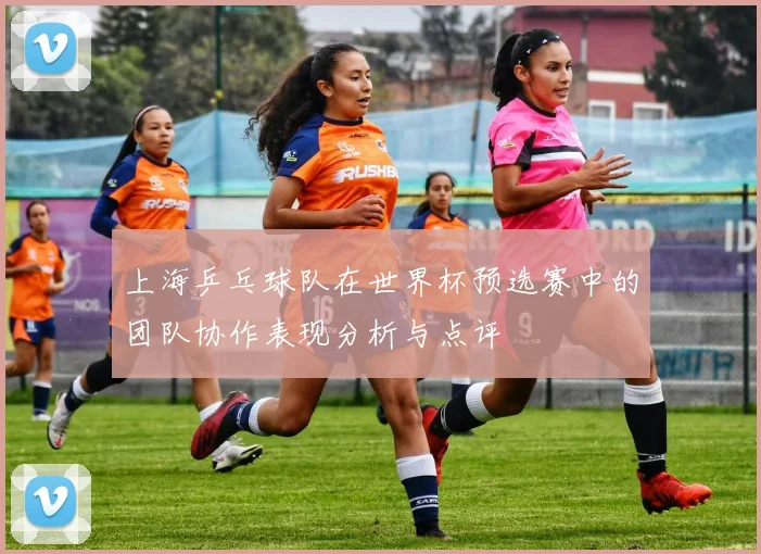 上海乒乓球队在世界杯预选赛中的团队协作表现分析与点评