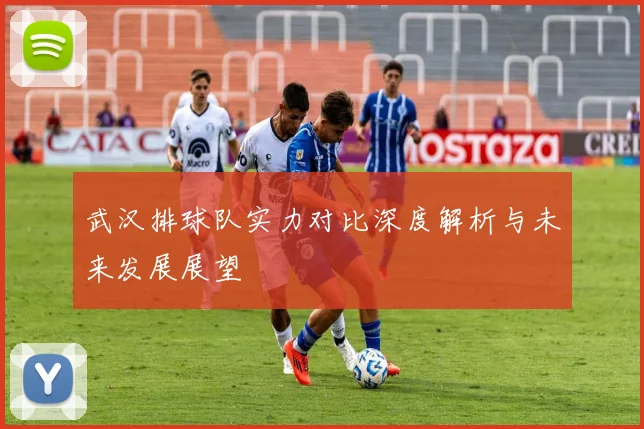 武汉排球队实力对比深度解析与未来发展展望