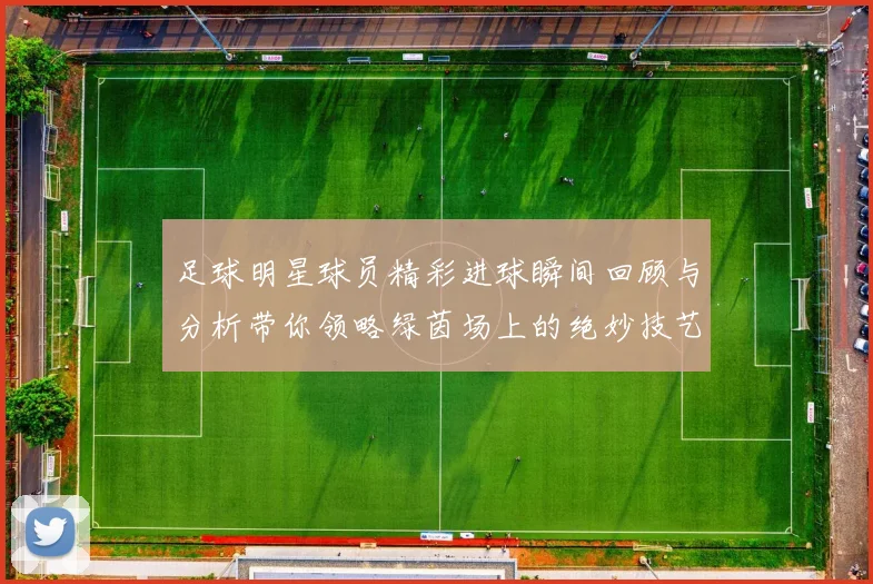 足球明星球员精彩进球瞬间回顾与分析带你领略绿茵场上的绝妙技艺