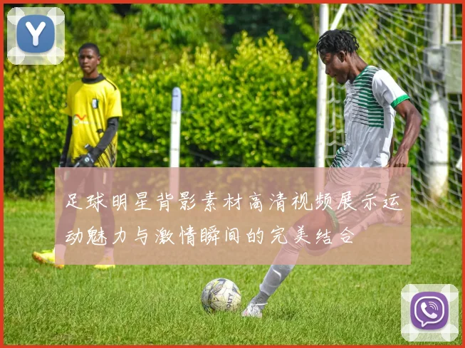 足球明星背影素材高清视频展示运动魅力与激情瞬间的完美结合