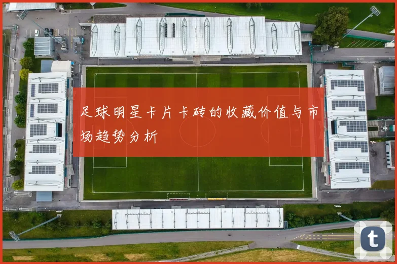 足球明星卡片卡砖的收藏价值与市场趋势分析